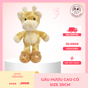 Gấu Hươu Cao Cổ