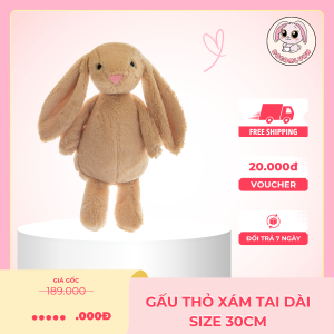 Gấu Thỏ Xám Tai Dài
