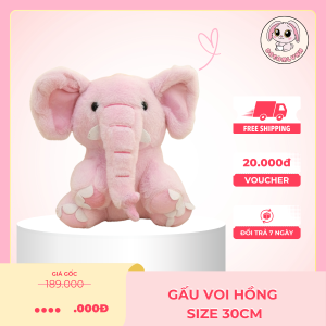 Gấu Voi Hồng