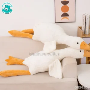 Vịt Bông Trắng Nằm