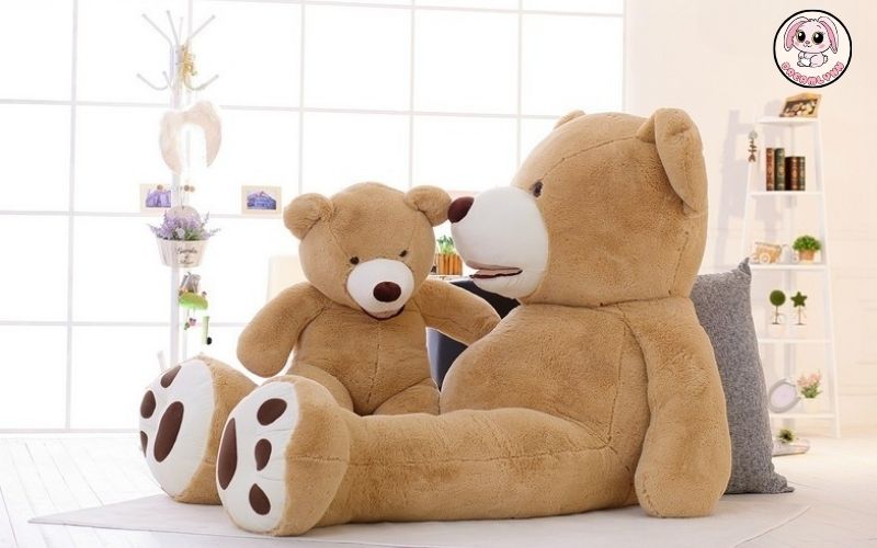 ảnh bìa bài viết