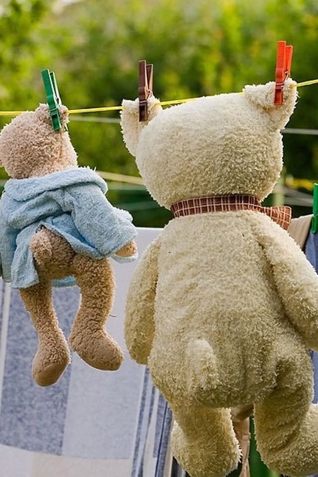 phơi gấu bông sao cho đúng cách 