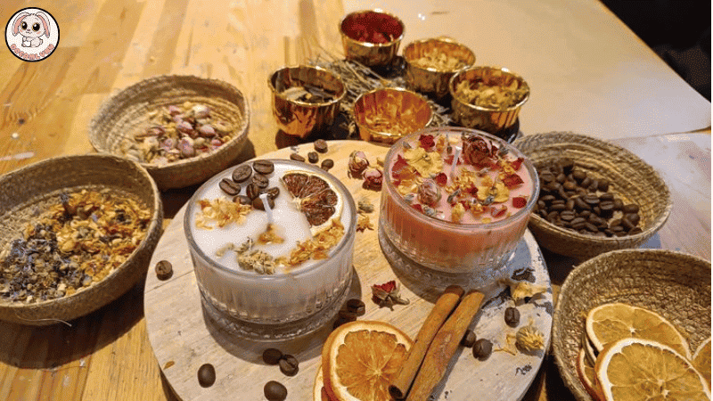 Gợi ý mùi thơm phù hợp cho người mới bắt đầu