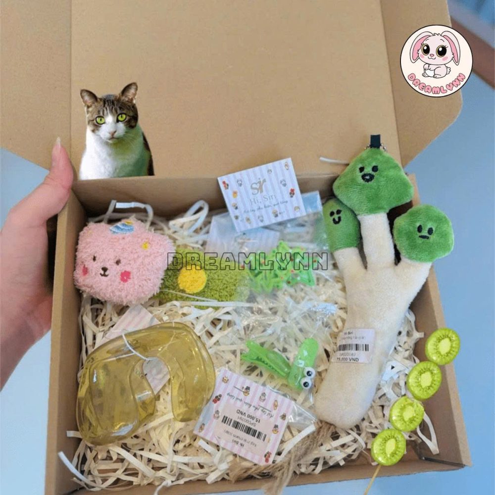 Set quà tặng nhỏ theo yêu cầu cao cấp dreamlynn